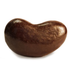 dark chocolate cashews-chocolate nuts-closeup