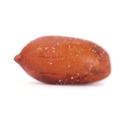 redskin salted peanuts-roasted nuts-closeup
